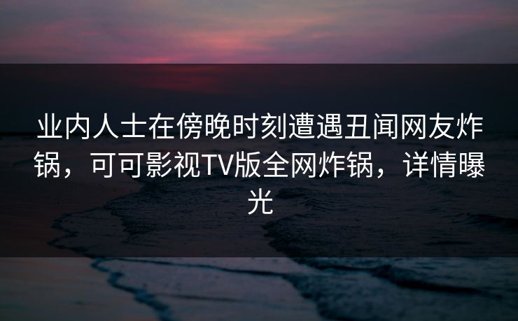 业内人士在傍晚时刻遭遇丑闻网友炸锅，可可影视TV版全网炸锅，详情曝光