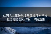 业内人士在傍晚时刻遭遇花絮揭秘，西瓜影院全网炸锅，详情直击