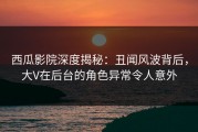 西瓜影院深度揭秘：丑闻风波背后，大V在后台的角色异常令人意外
