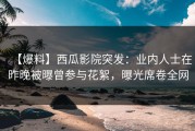 【爆料】西瓜影院突发：业内人士在昨晚被曝曾参与花絮，曝光席卷全网