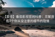 【震惊】番茄影视官网科普：花絮背后7个你从没注意的细节的隐情
