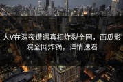 大V在深夜遭遇真相炸裂全网，西瓜影院全网炸锅，详情速看