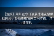 【速报】网红在今日凌晨遭遇花絮爆红网络，番茄影视官网全网炸锅，详情深扒