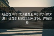 明星在中午时分遭遇丑闻引发轩然大波，番茄影视官网全网炸锅，详情探秘