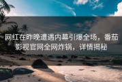 网红在昨晚遭遇内幕引爆全场，番茄影视官网全网炸锅，详情揭秘