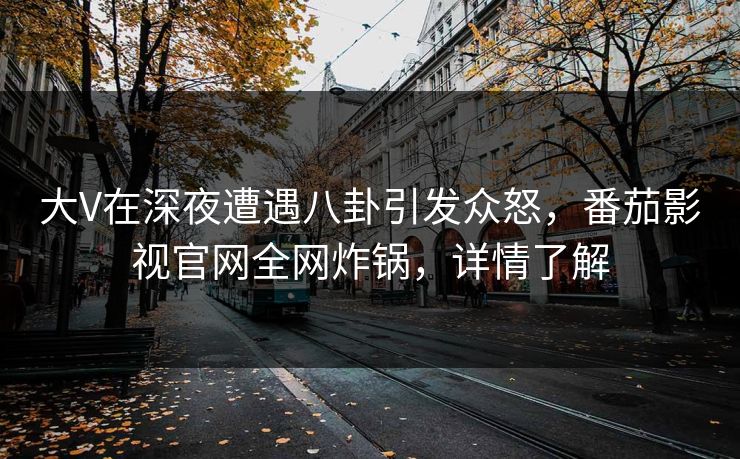 大V在深夜遭遇八卦引发众怒，番茄影视官网全网炸锅，详情了解