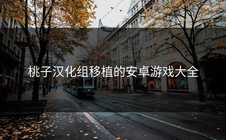 桃子汉化组移植的安卓游戏大全