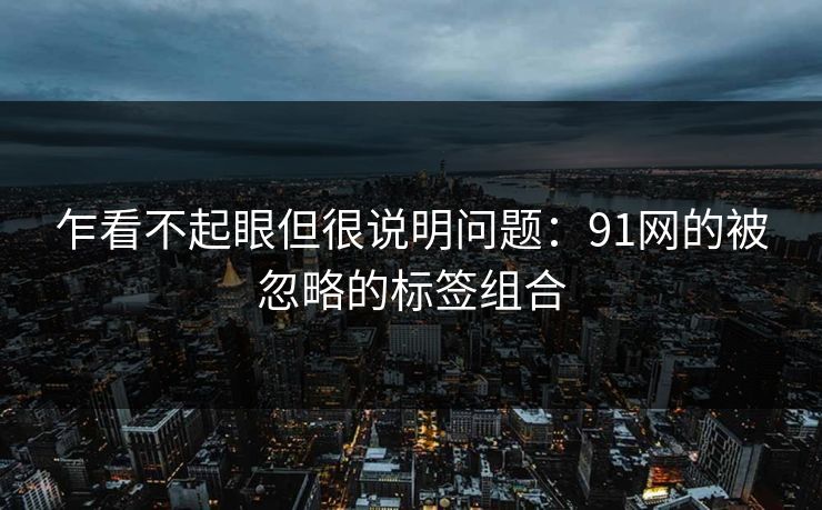 乍看不起眼但很说明问题：91网的被忽略的标签组合